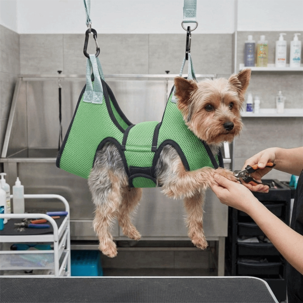 Adjustable Dog Grooming Hammoc - Pet Grooming Hammock Sling Restraint 评论和价格