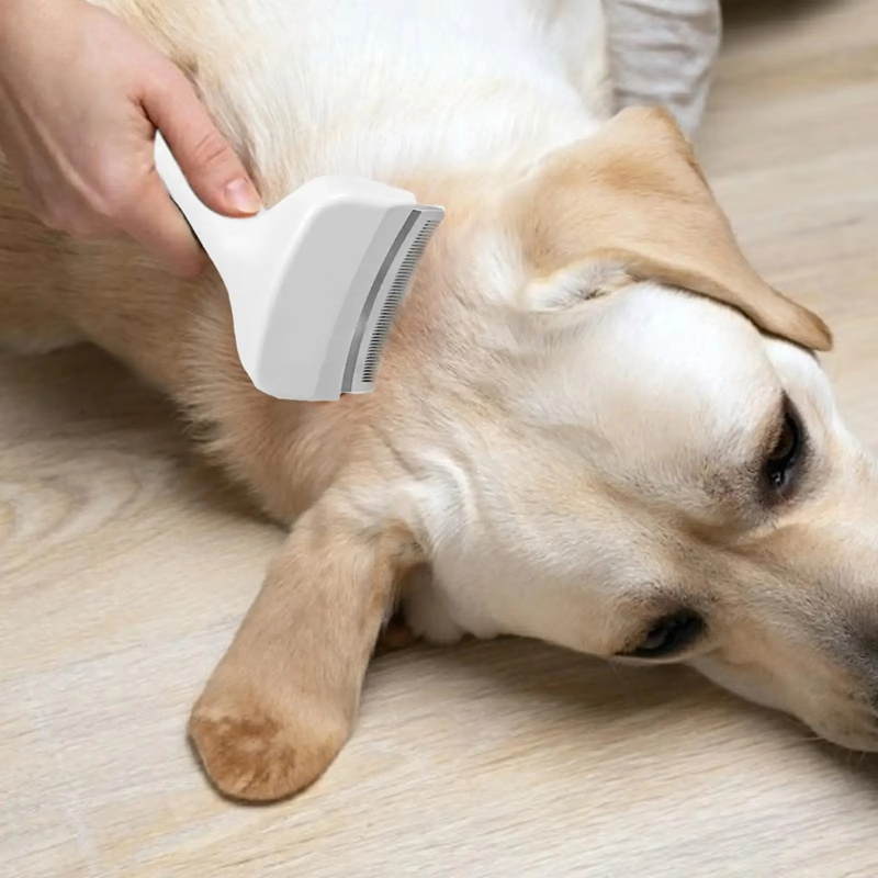Slicker Brush For Dogs Underco - Undercoat Rake Dematting Tool Dog Shedding 评论和价格