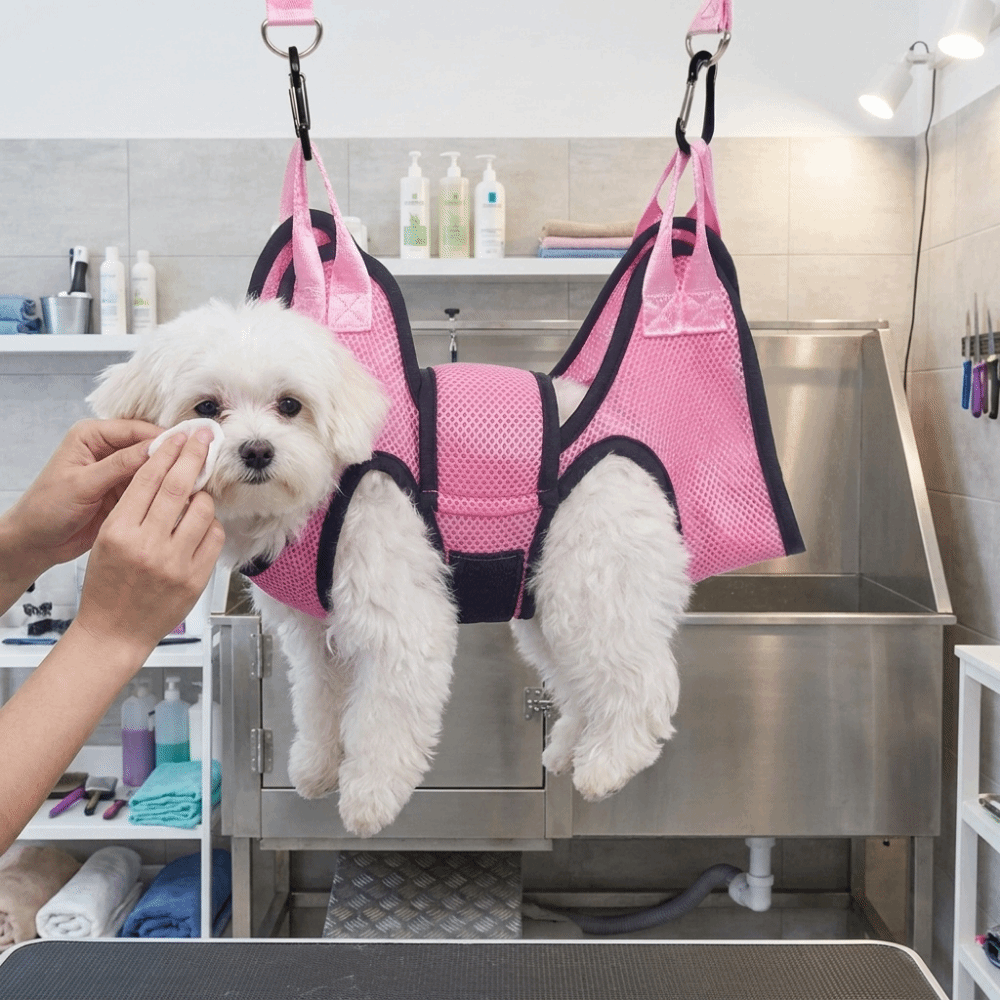 Adjustable Dog Grooming Hammoc - Pet Grooming Hammock Sling Restraint 评论和价格