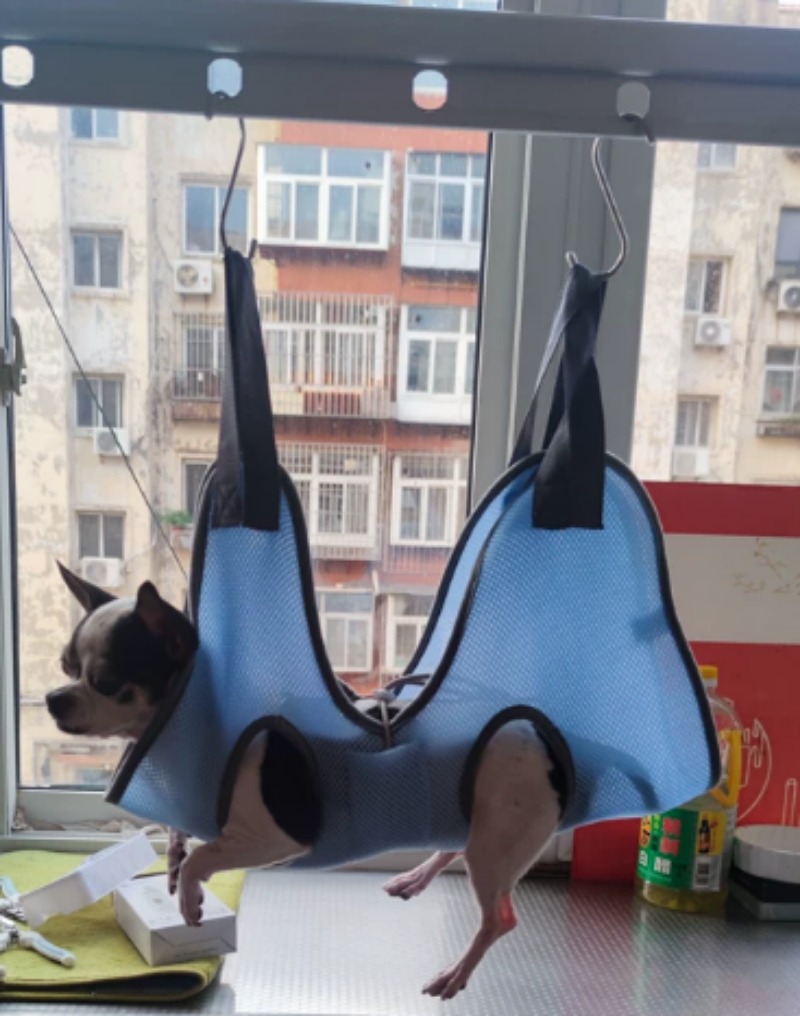 Pet Grooming Hammock Hanging B - Pet Grooming Hammock Sling Restraint 评论和价格