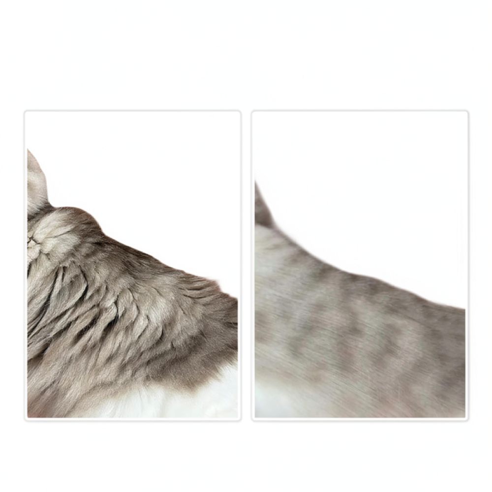 Professional Dog Grooming Brus - Undercoat Rake Dematting Tool Dog Shedding 评论和价格