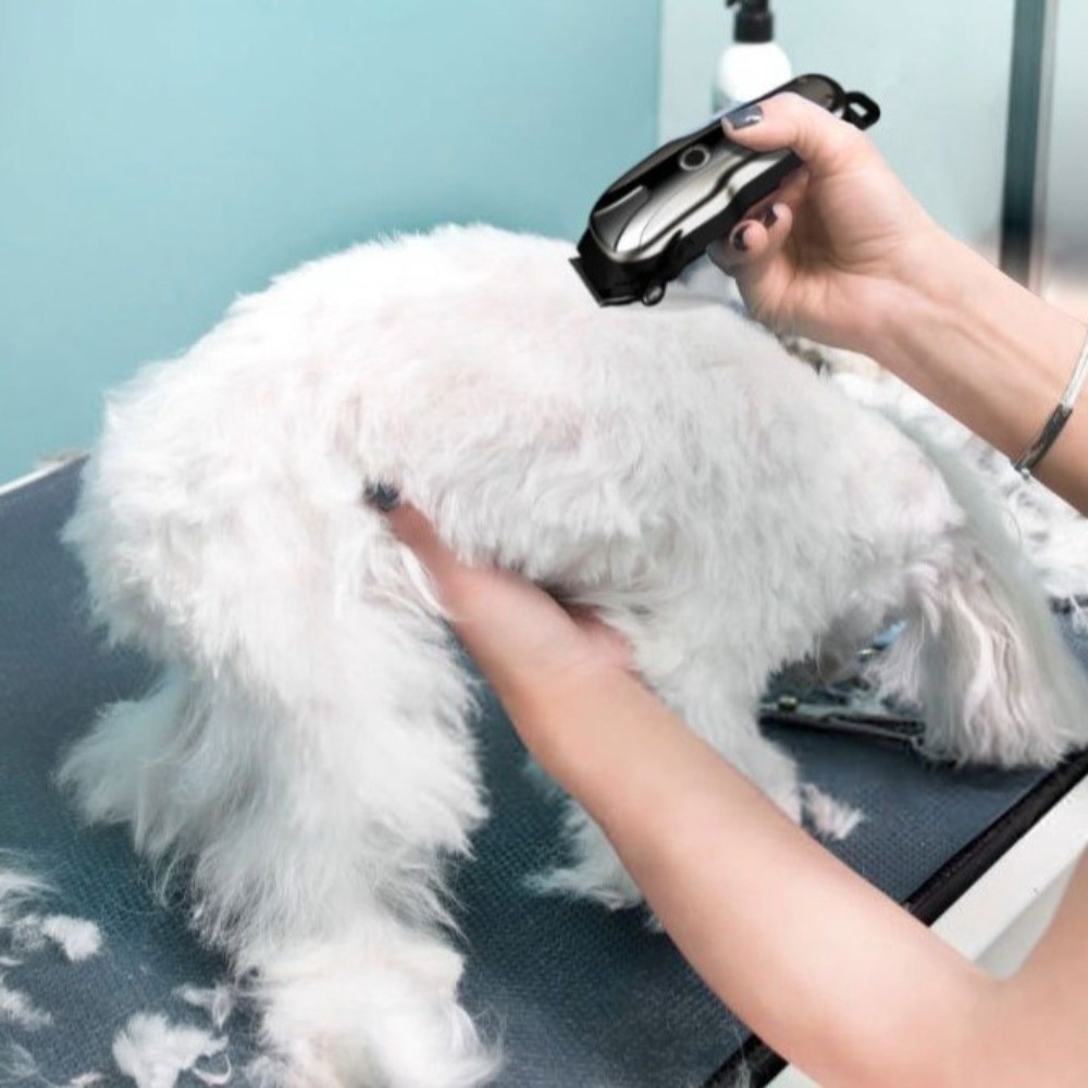 Universal USB Rechargeable Ele - Cordless Dog Clippers Low Noise Grooming 评论和价格