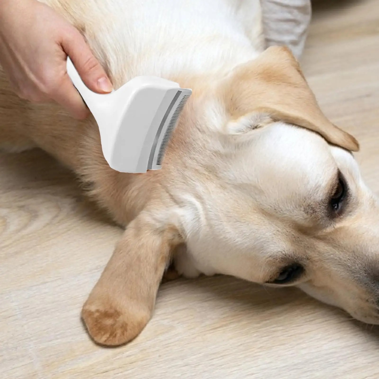 Slicker Brush For Dogs Underco - Undercoat Rake Dematting Tool Dog Shedding 评论和价格