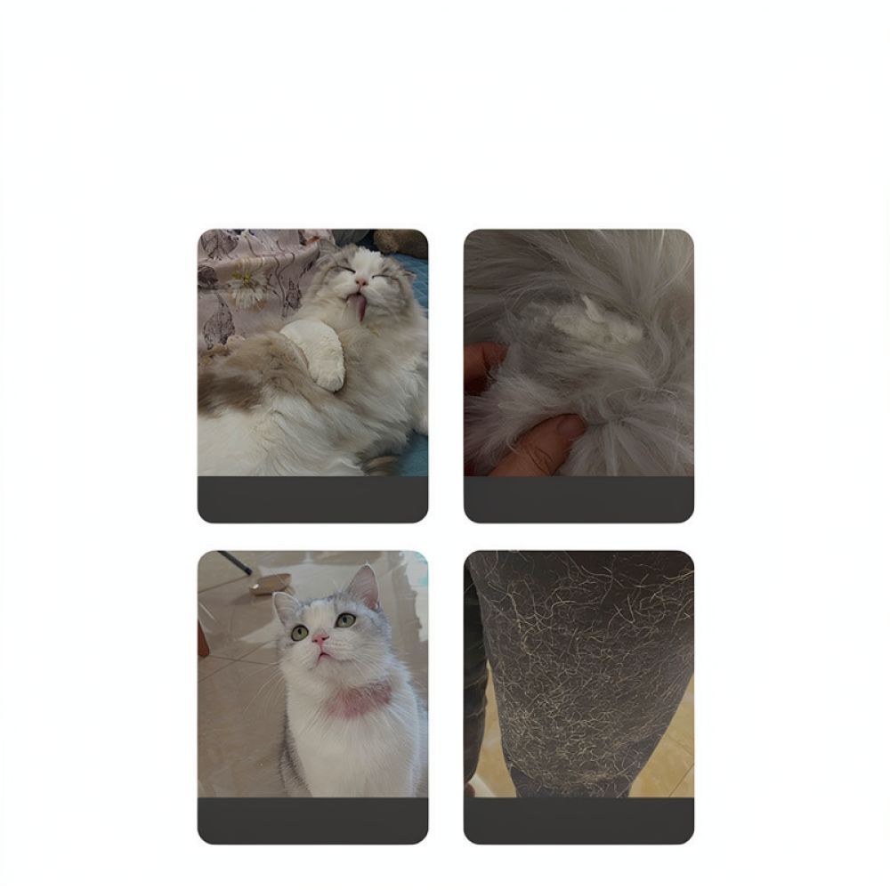 Pet Grooming Tool Curved Demat - Undercoat Rake Dematting Tool Dog Shedding 评论和价格