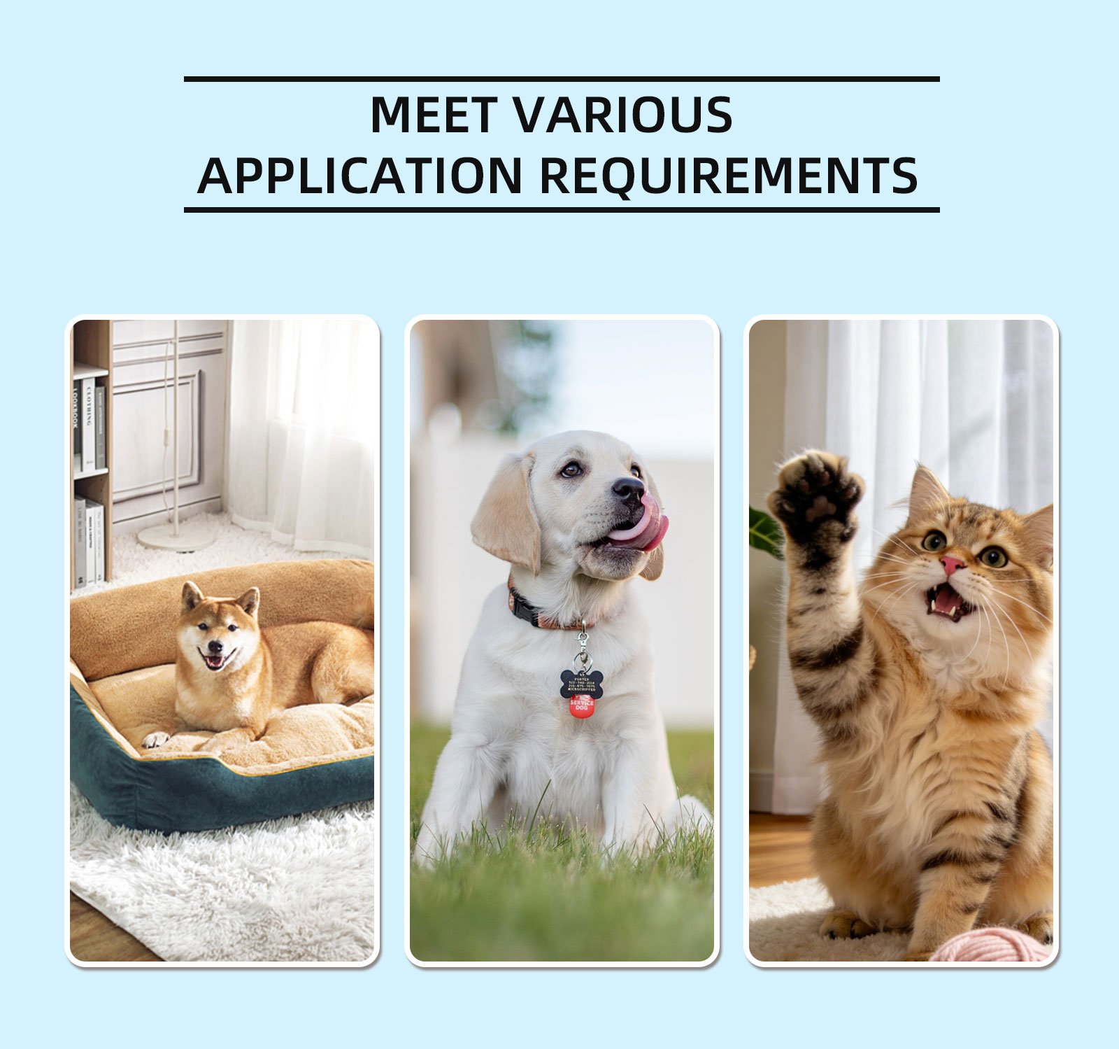 Cat Dog Ear Cleaner Solution 1 - Dog Ear Cleaner Solution Drops Wash 评论和价格
