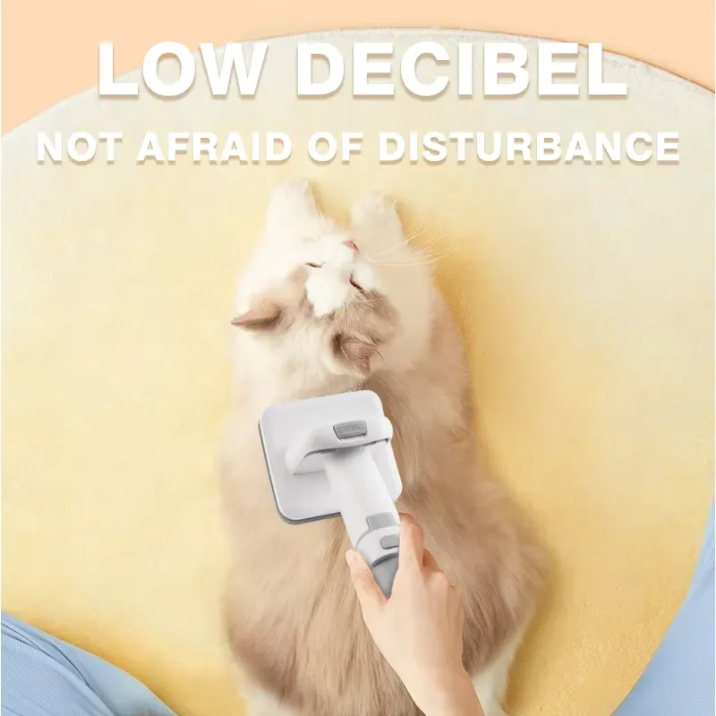 for DSP Professional Pet Groom - Cordless Dog Clippers Low Noise Grooming 评论和价格