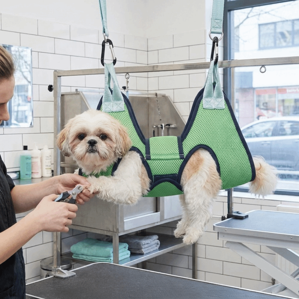 Adjustable Dog Grooming Hammoc - Pet Grooming Hammock Sling Restraint 评论和价格