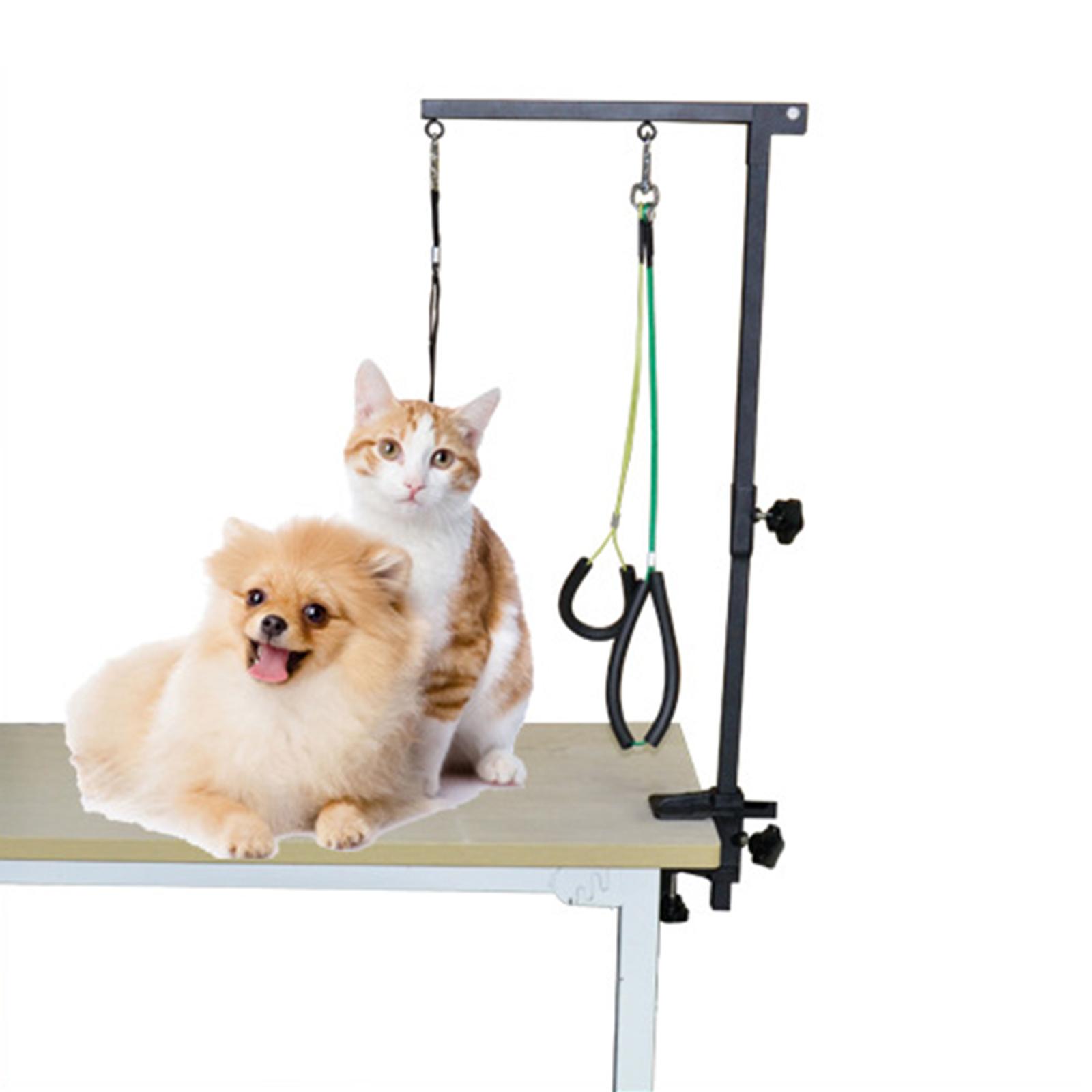 Dog Grooming Arm with Clamp Pe - Folding Pet Grooming Table Arm Clamp 评论和价格