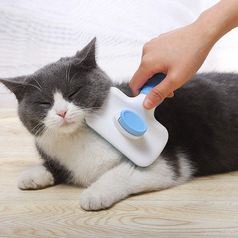 Self‑Cleaning Slicker Brush Pe - Slicker Brush Self Cleaning Pet Grooming 评论和价格